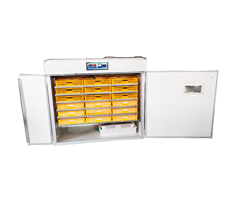 Quail Egg Incubator - Controlador para Incubadora de Huevos Totalmente
