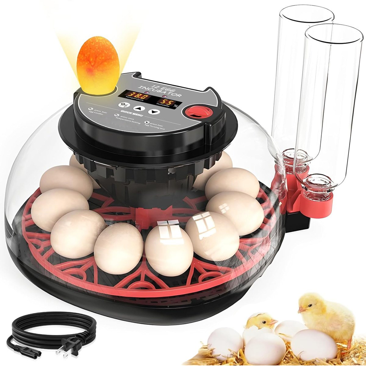 Quail Egg Incubator - Incubadora de 12 Huevos con Volteo