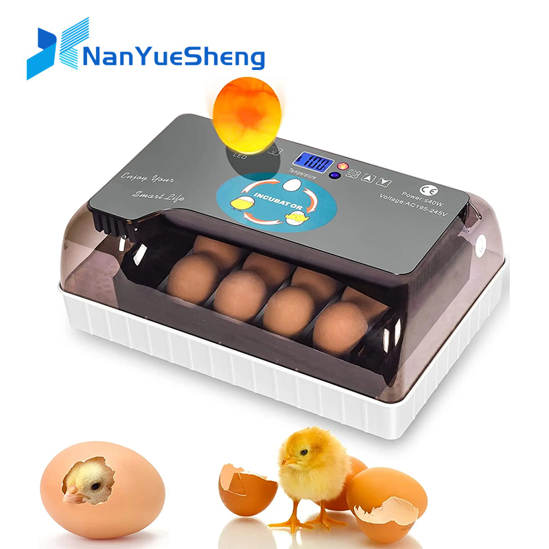 Quail Egg Incubator - HHD automático, la mejor máquina Digital