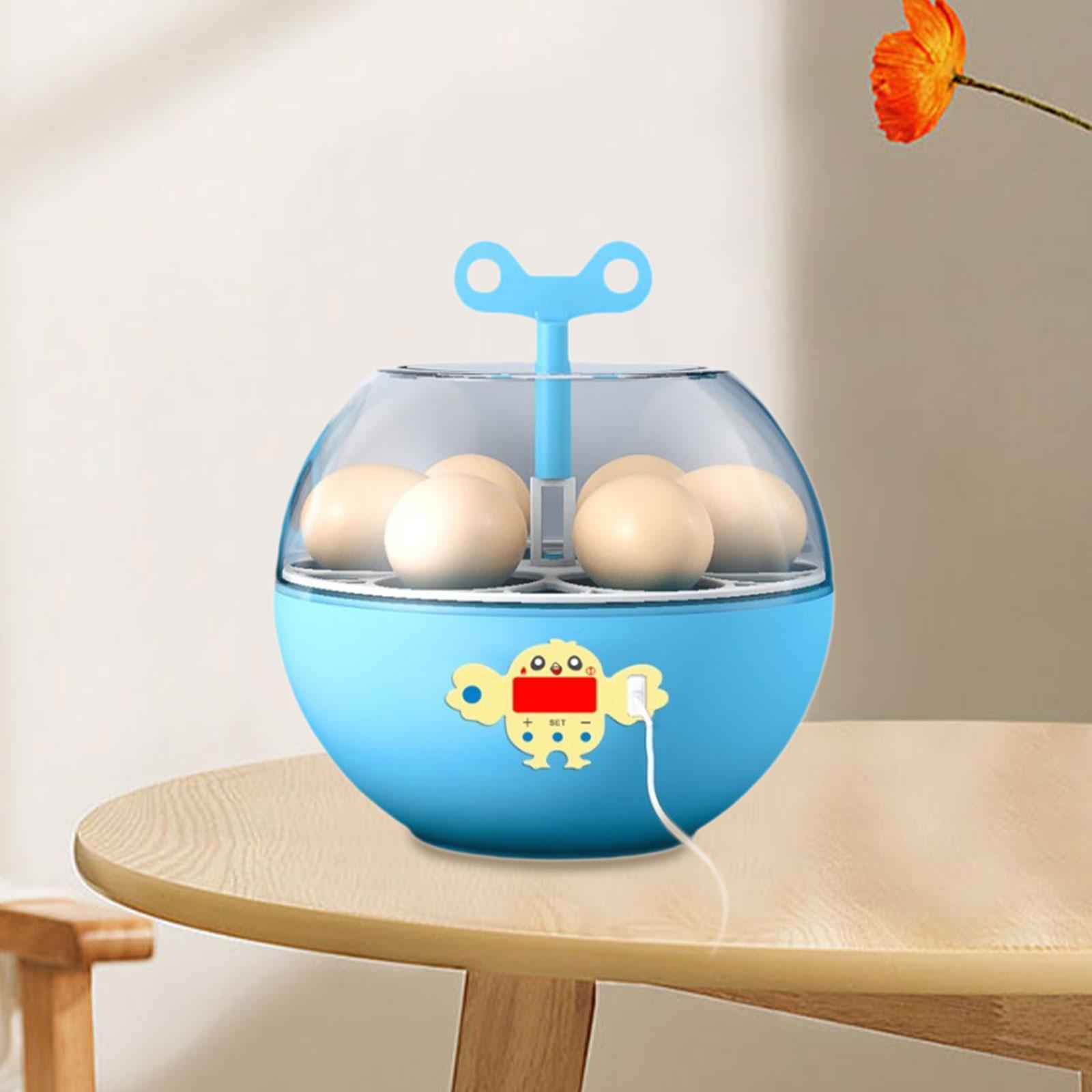 Quail Egg Incubator - Incubadora de 6 Huevos, Mini Incubadora