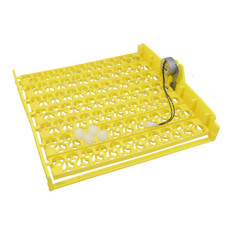 Quail Egg Incubator - Herramientas de incubación de huevos de