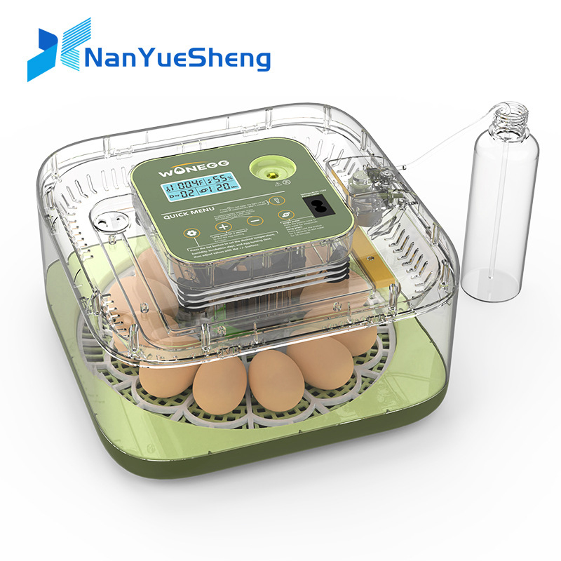 Quail Egg Incubator - Nueva máquina incubadora de huevos de