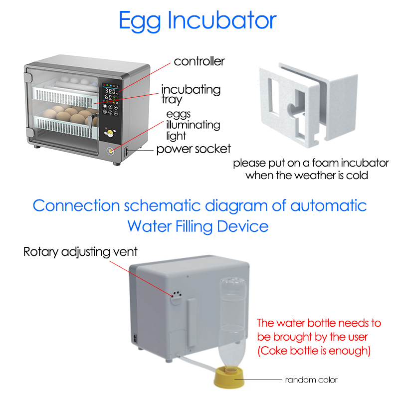Incubadora de huevos giratoria - Quail Egg Incubator reseña y precio