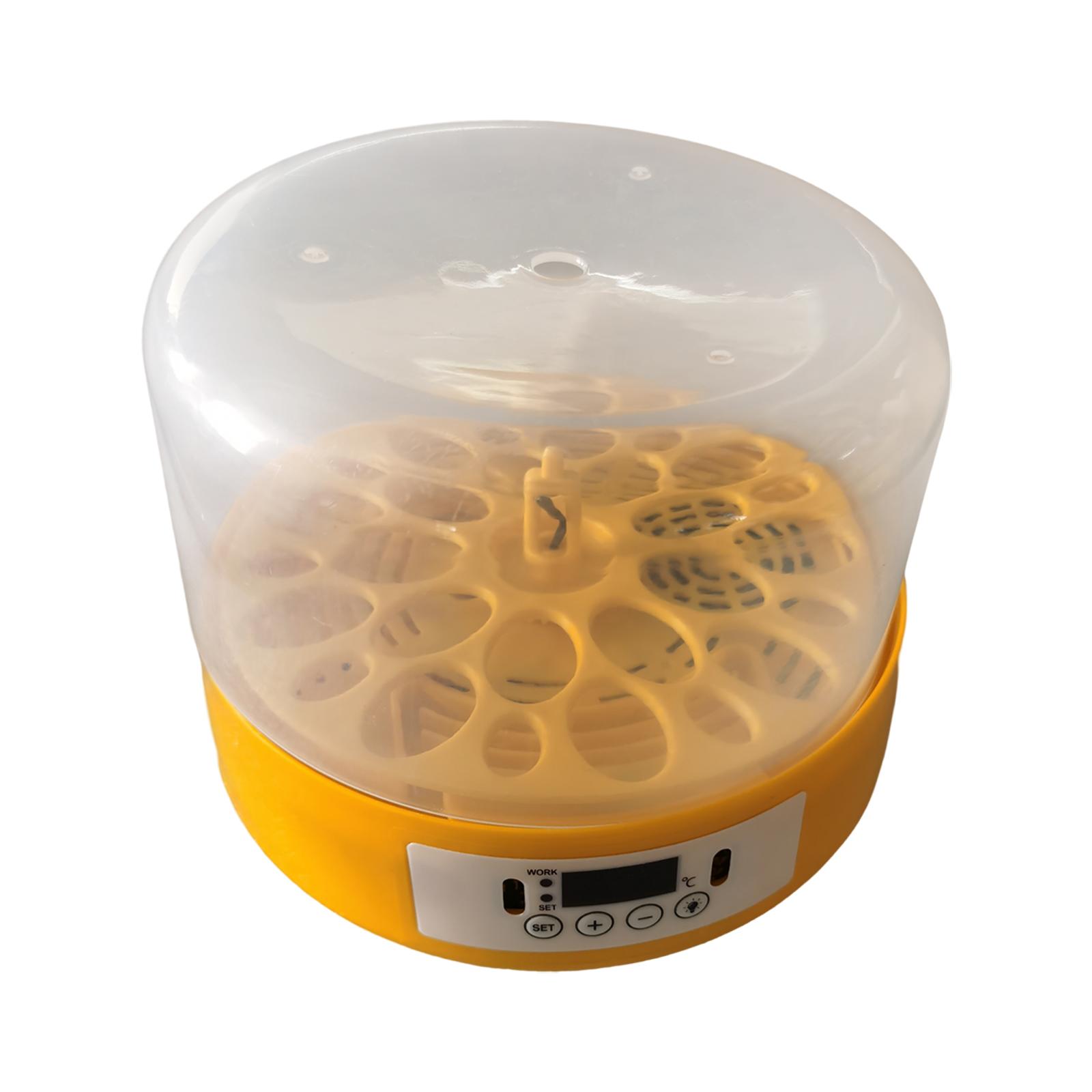 Incubadora de huevos, volteado - Quail Egg Incubator reseña y precio