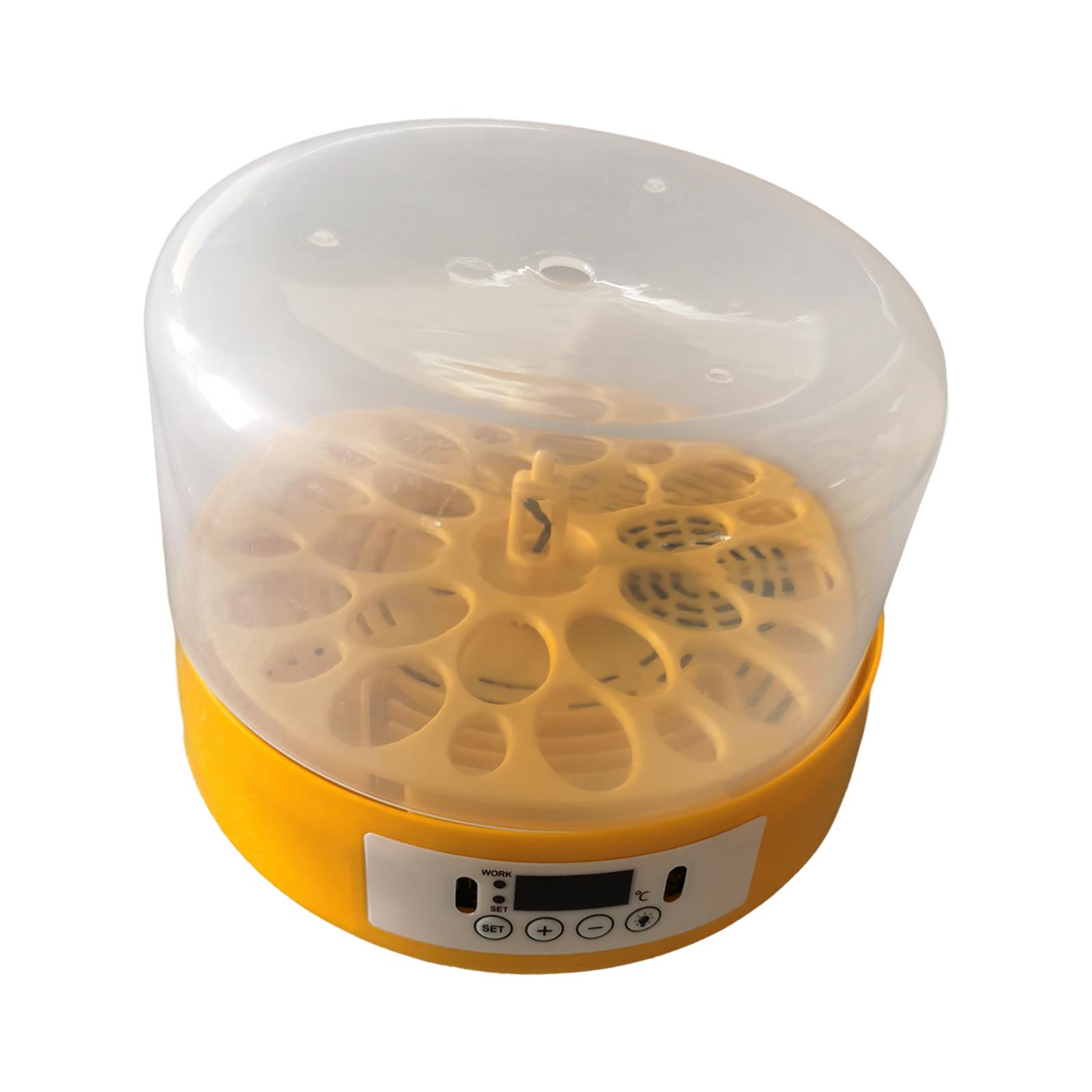 Incubadora de huevos, volteado - Quail Egg Incubator reseña y precio