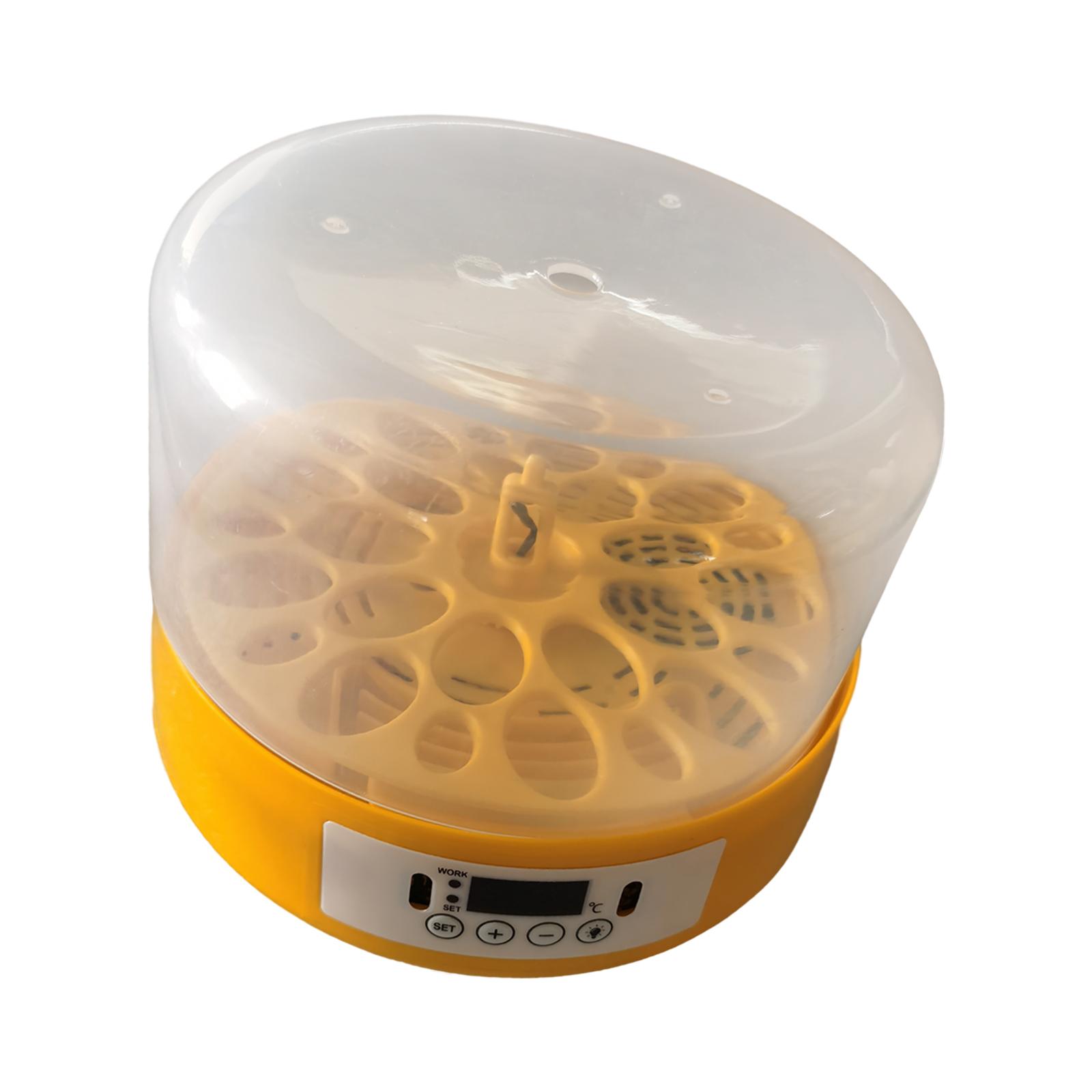 Incubadora de huevos, volteado - Quail Egg Incubator reseña y precio