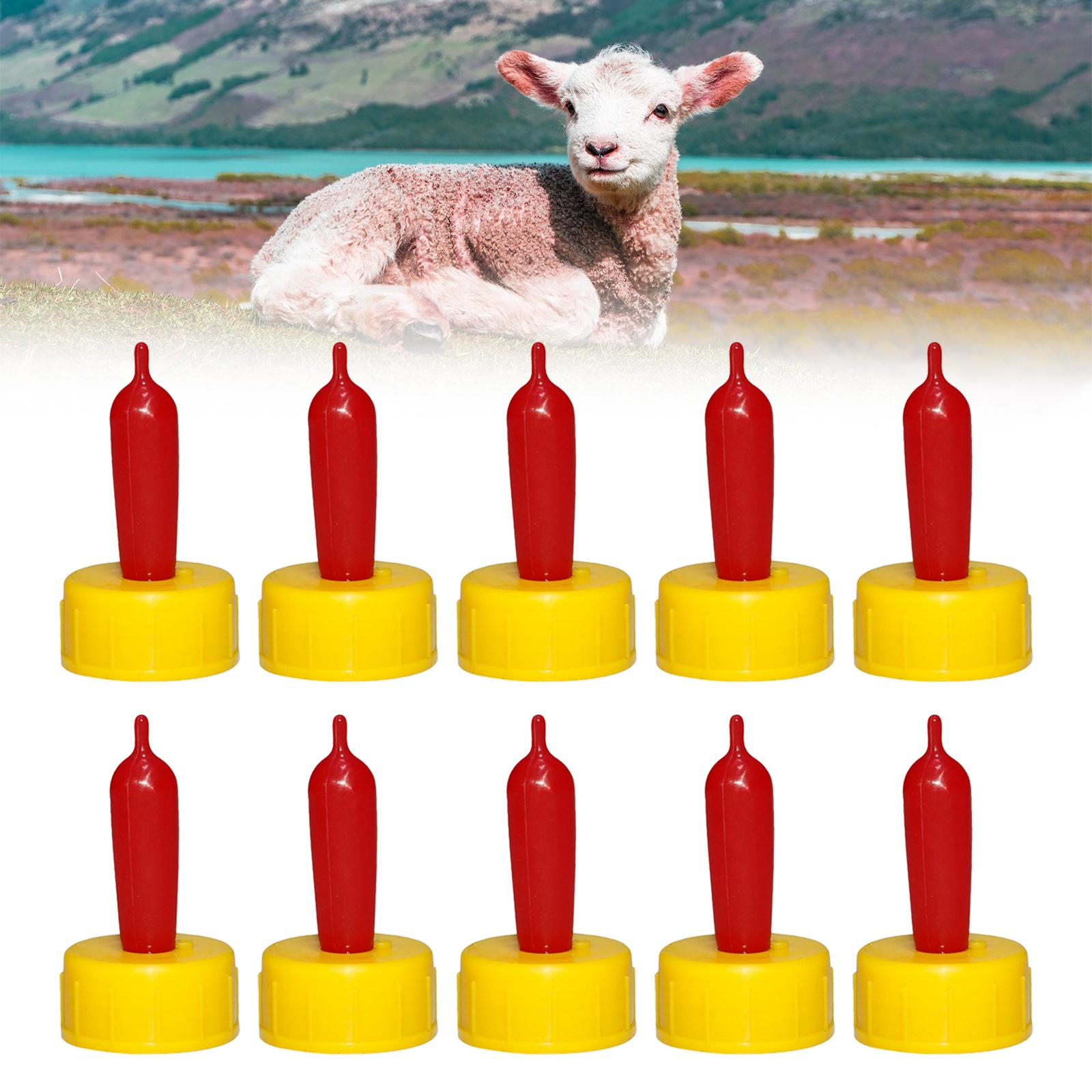 Chupete de Goma Suave para Ove - Agriculture Farming Livestock reseña y precio