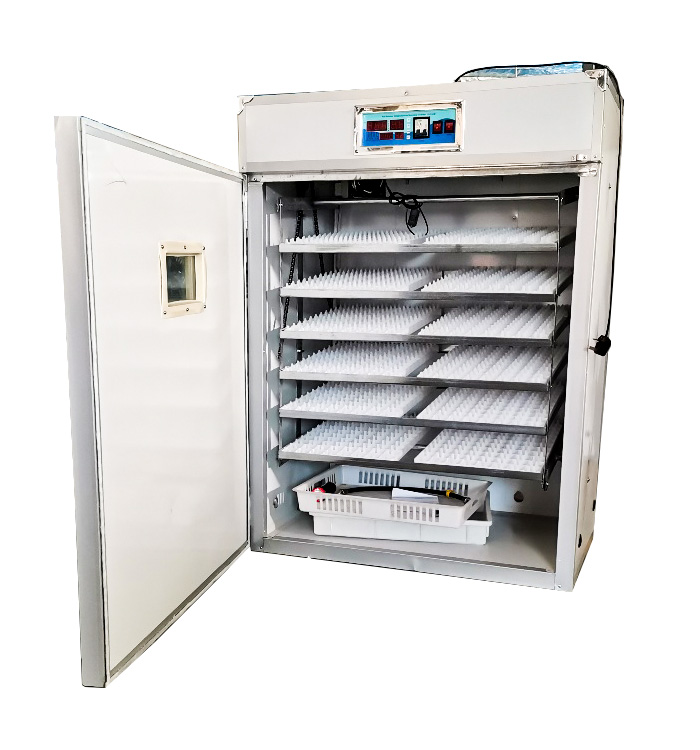 Controlador para Incubadora de - Quail Egg Incubator reseña y precio
