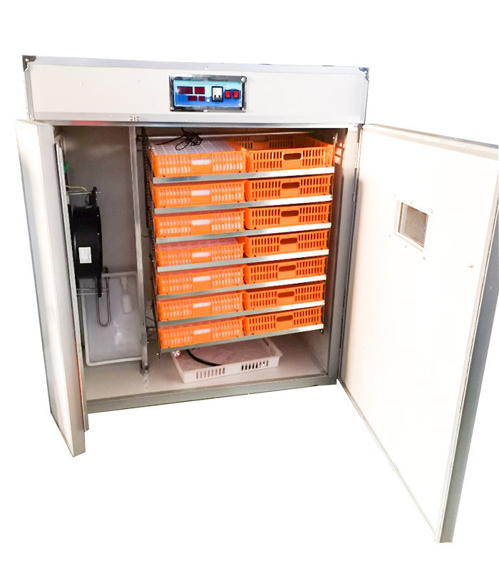 Controlador para Incubadora de - Quail Egg Incubator reseña y precio