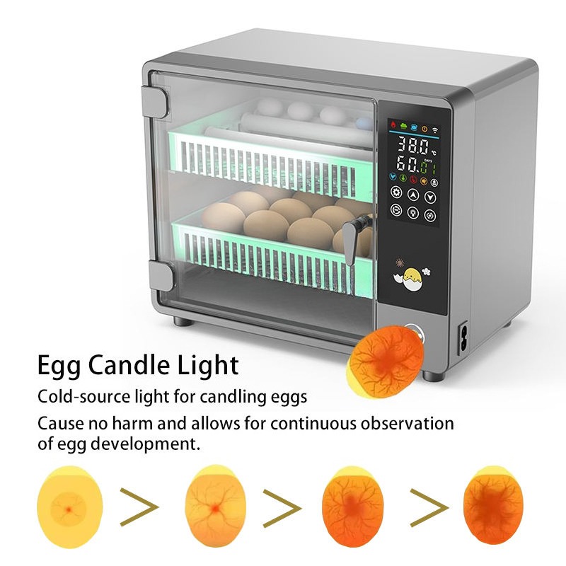 Incubadora de Huevos Totalment - Quail Egg Incubator reseña y precio
