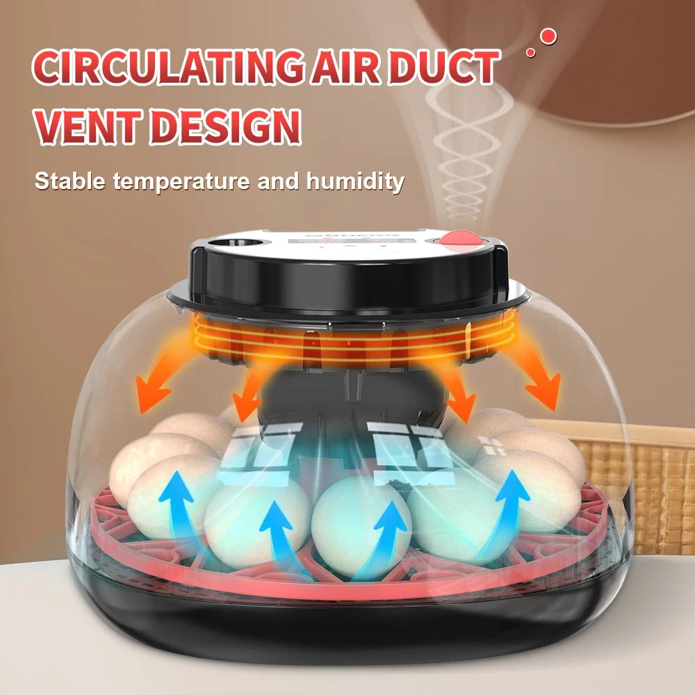 Incubadora de 12 Huevos con Vo - Quail Egg Incubator reseña y precio