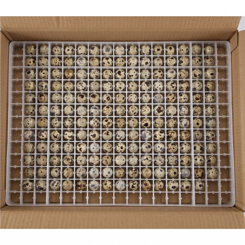 4 Bandejas para Incubadora de  - Quail Egg Incubator reseña y precio