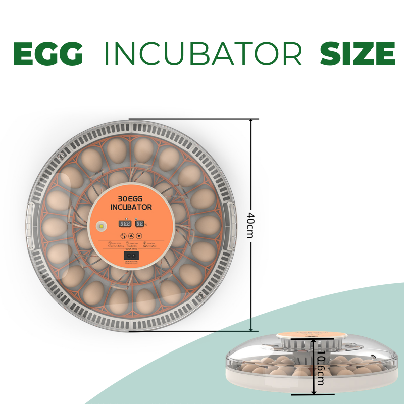 Incubadora de Huevos STLF30 pa - Quail Egg Incubator reseña y precio