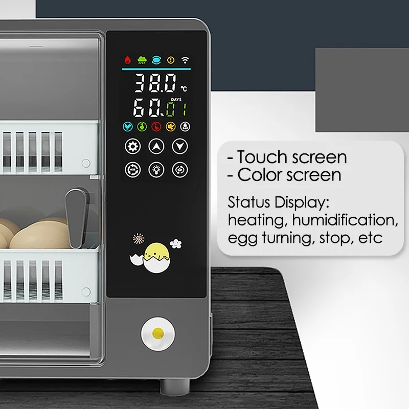 Incubadora de 24 huevos, volte - Quail Egg Incubator reseña y precio