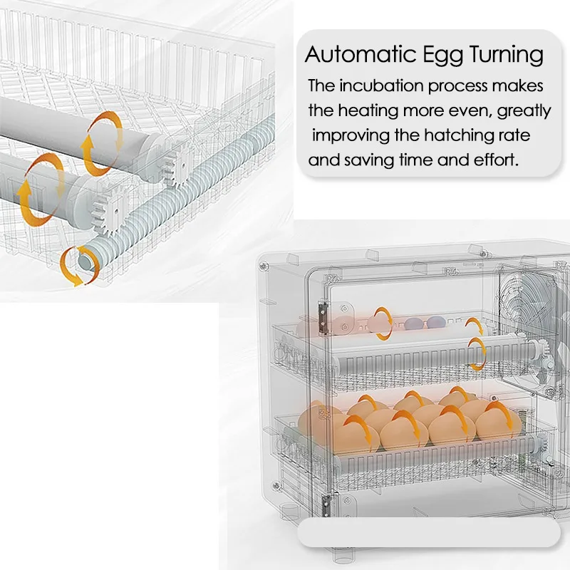 Incubadora de 24 huevos, volte - Quail Egg Incubator reseña y precio