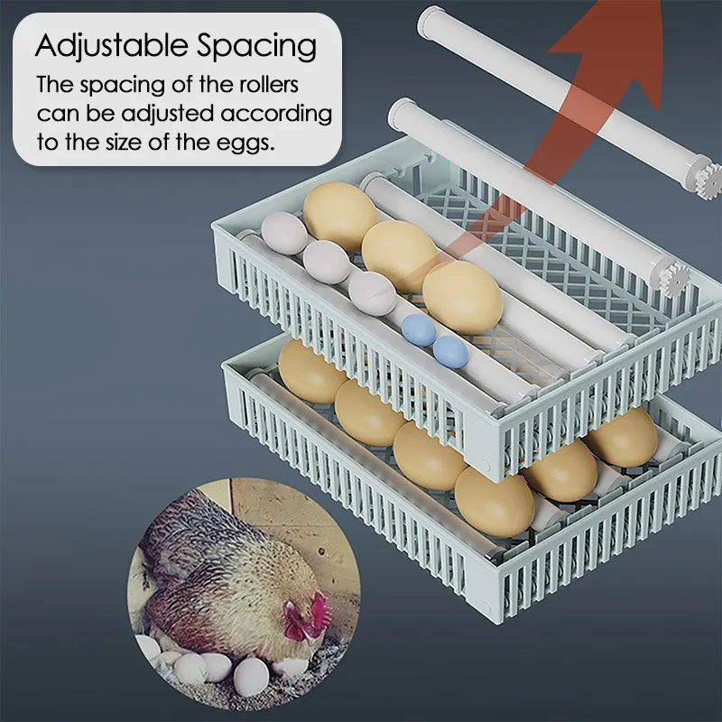 Incubadora de 24 huevos, volte - Quail Egg Incubator reseña y precio