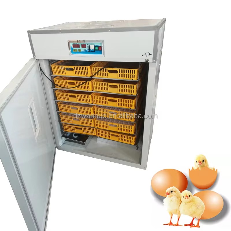 Incubadora de Huevos Industria - Quail Egg Incubator reseña y precio