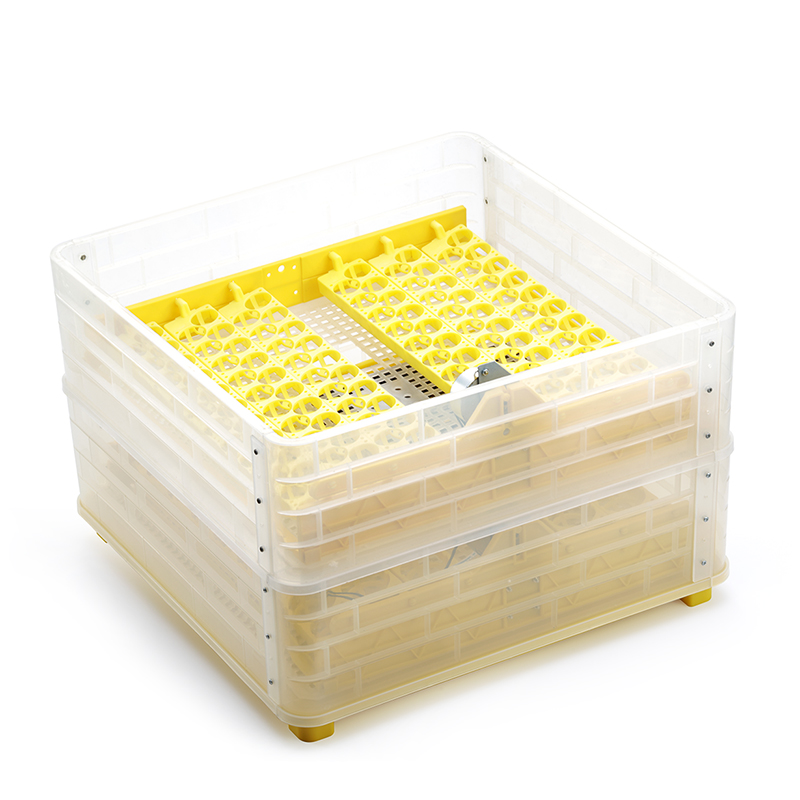 Incubadora de Pollos/Patos HHD - Quail Egg Incubator reseña y precio