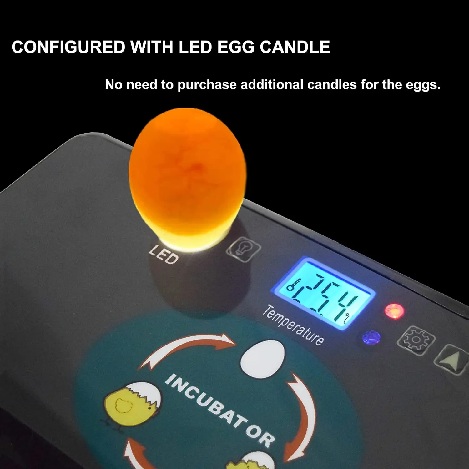 HHD automático, la mejor máqui - Quail Egg Incubator reseña y precio