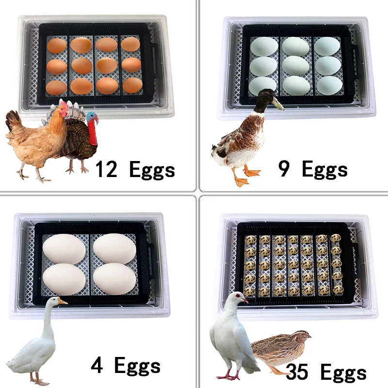 HHD automático, la mejor máqui - Quail Egg Incubator reseña y precio