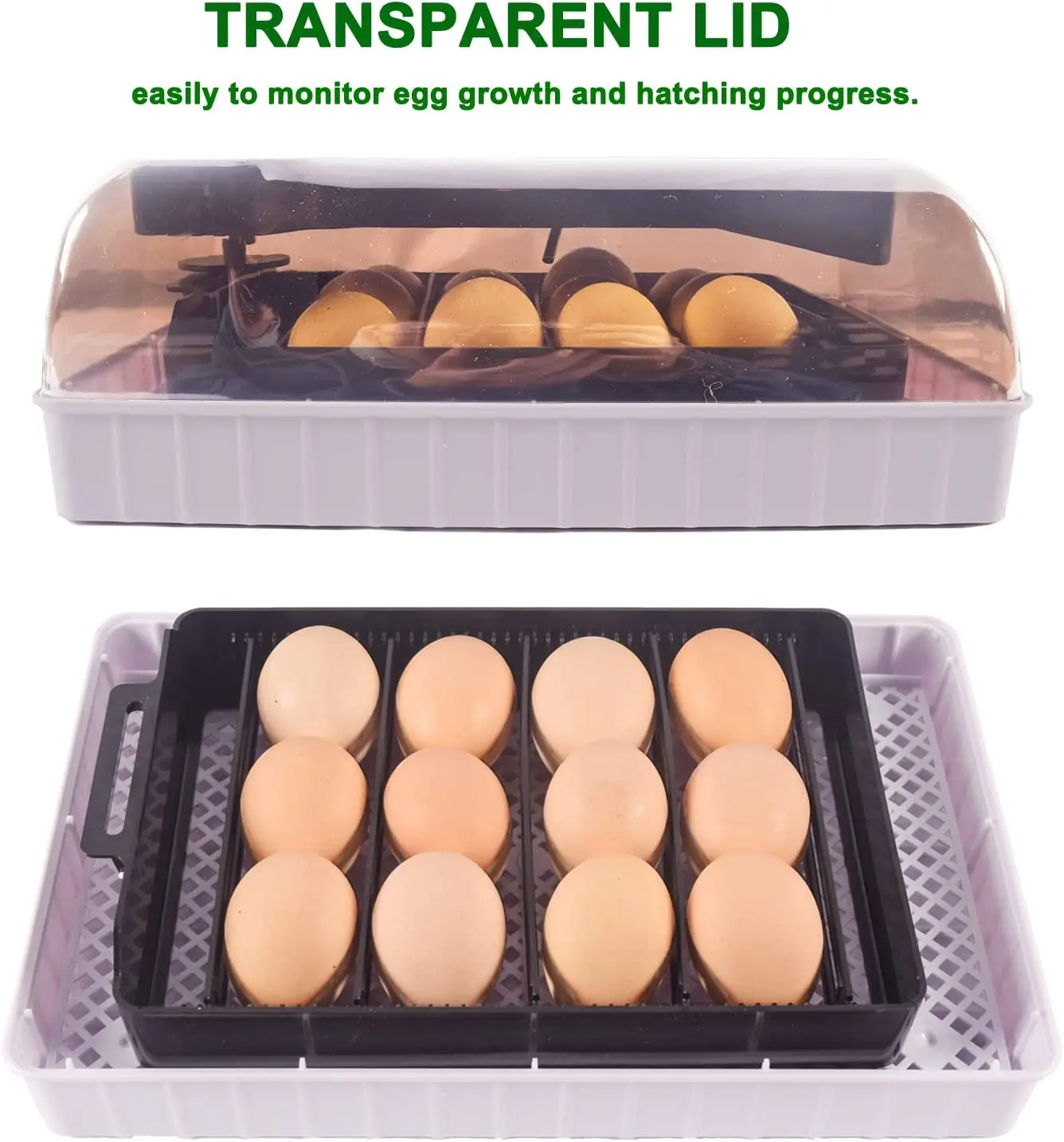 HHD automático, la mejor máqui - Quail Egg Incubator reseña y precio