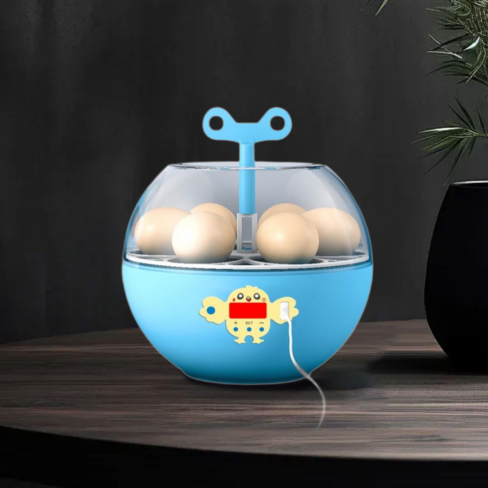 Incubadora de 6 Huevos, Mini I - Quail Egg Incubator reseña y precio