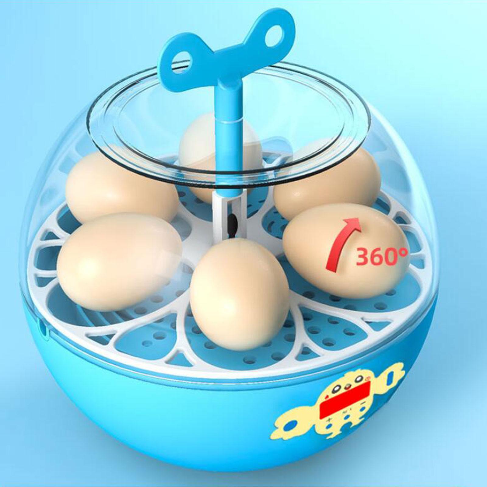 Incubadora de 6 Huevos, Mini I - Quail Egg Incubator reseña y precio