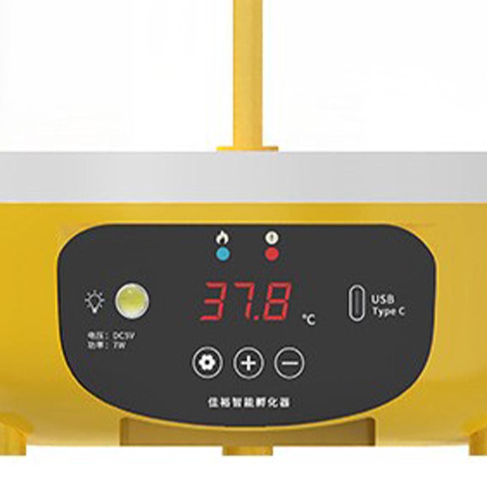 Incubadora de Huevos de Aves d - Quail Egg Incubator reseña y precio