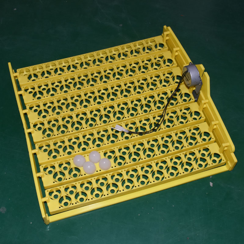 Herramientas de incubación de  - Quail Egg Incubator reseña y precio