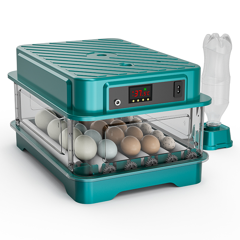 Incubadora de Huevos Totalment - Quail Egg Incubator reseña y precio