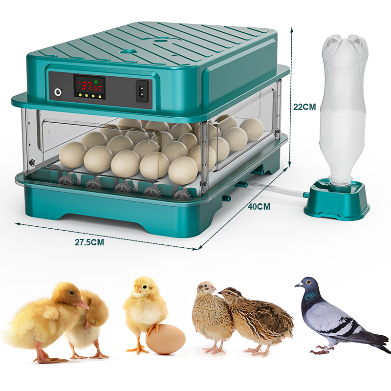 Incubadora de Huevos Totalment - Quail Egg Incubator reseña y precio