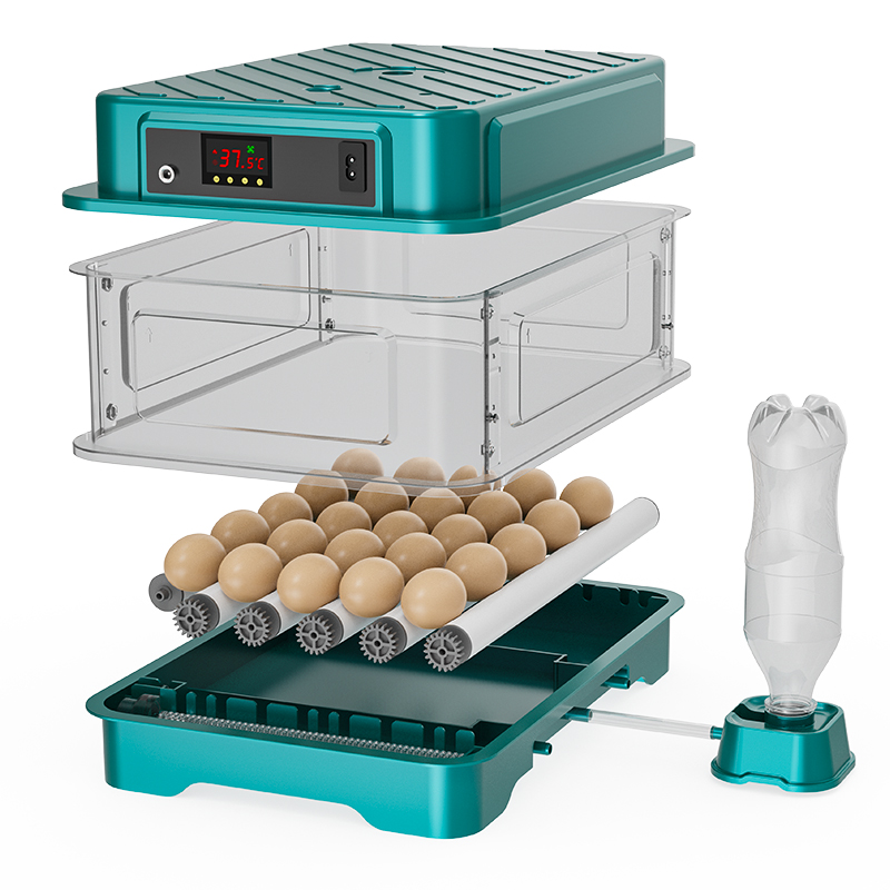 Incubadora de Huevos Totalment - Quail Egg Incubator reseña y precio