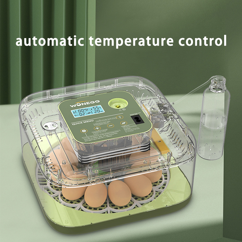 Nueva máquina incubadora de hu - Quail Egg Incubator reseña y precio