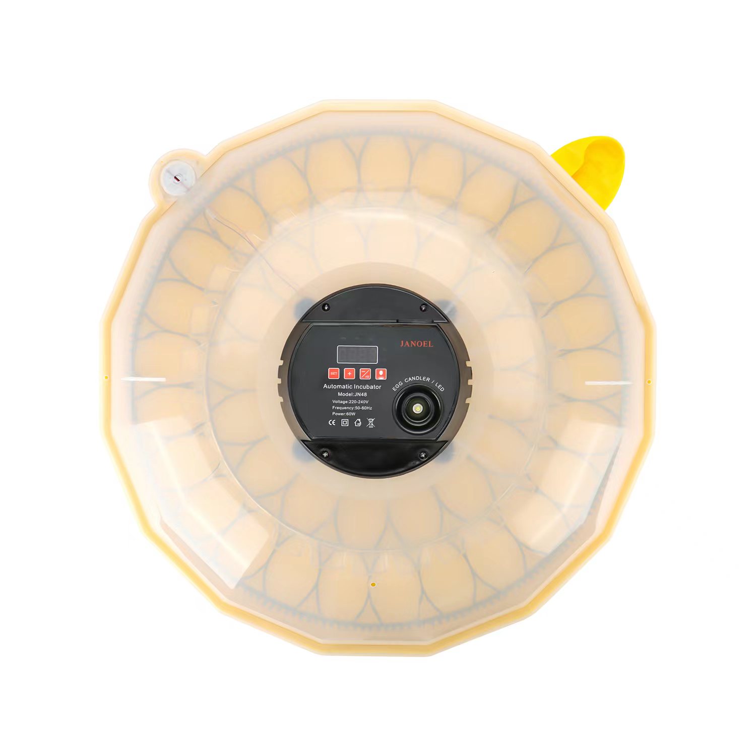 Mini Incubadora de Huevos con  - Quail Egg Incubator reseña y precio