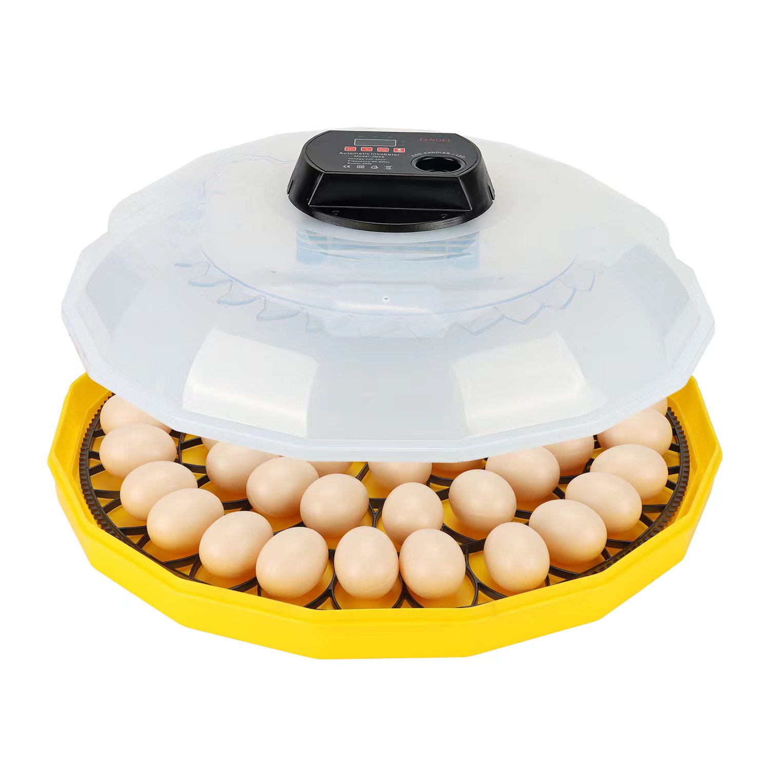 Mini Incubadora de Huevos con  - Quail Egg Incubator reseña y precio
