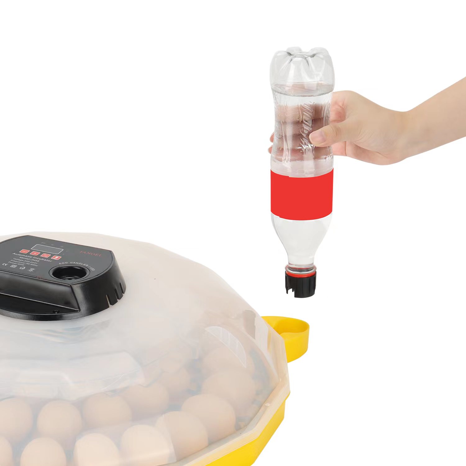 Mini Incubadora de Huevos con  - Quail Egg Incubator reseña y precio