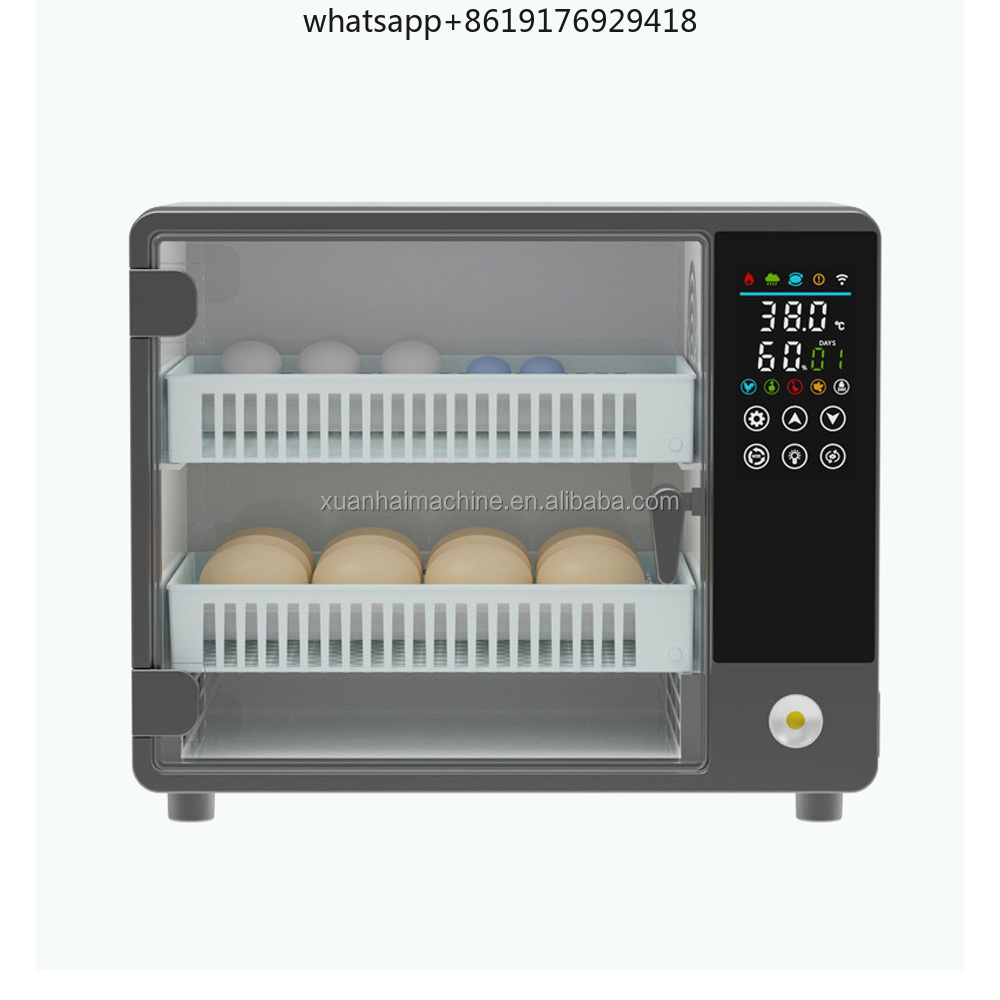 Incubadoras de huevos táctiles - Quail Egg Incubator reseña y precio
