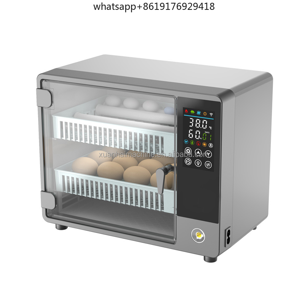 Incubadoras de huevos táctiles - Quail Egg Incubator reseña y precio